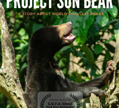 Project Sun Bear