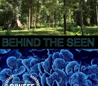 Behind The Seen