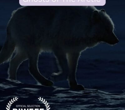 White Wolves: Ghosts of the Arctic